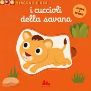 Copertina libro 9788893489324