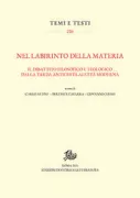 Copertina libro <b>Nel labirinto della materia</b>