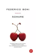 Copertina libro <b>Somare</b>