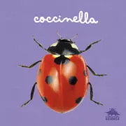Copertina libro <b>Coccinella</b>
