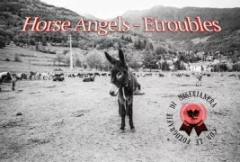 Copertina libro Horse Angels Etroubles