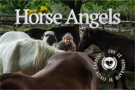 Copertina libro Horse Angels