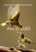 Copertina libro 9788894553918
