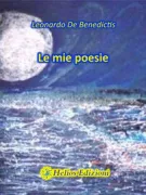 Copertina libro 9788894593204