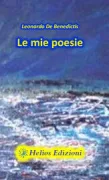Copertina libro 9788894593211