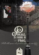 Copertina libro 9788894990195
