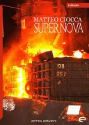 Copertina libro 9788895463384