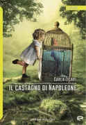 Copertina libro 9788895463988