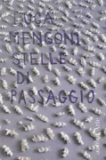 Copertina libro <b>Stelle di passaggio</b>