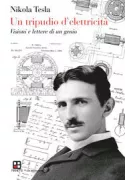 Copertina libro <b>Un tripudio d'elettricità</b>
