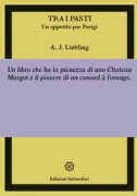 Copertina libro 9788896986806