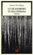 Copertina libro <b>Ce ne andremo in fila indiana</b>