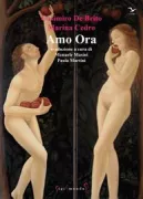 Copertina libro <b>Amo ora<br></b>(titolo originale o altro titolo: <i>Amo agora</i>)
