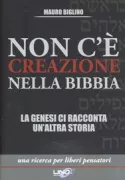 Copertina libro <b>Non c'è creazione nella Bibbia</b>