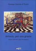 Copertina libro AVVOCA, PER ORA GRAZIE