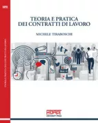 Copertina libro <b>Teoria e pratica dei contratti di lavoro</b>