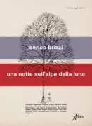 Copertina libro Enrico Brizzi libri