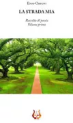Copertina libro 9788899259471