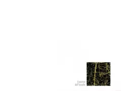 Copertina libro <b>A partire dall'ascolto</b>