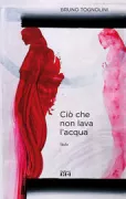 Copertina libro CIO' CHE NON LAVA L'ACQUA