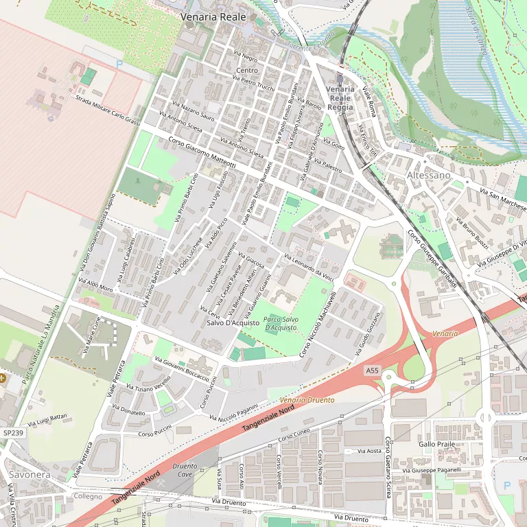Mappa VENARIA REALE