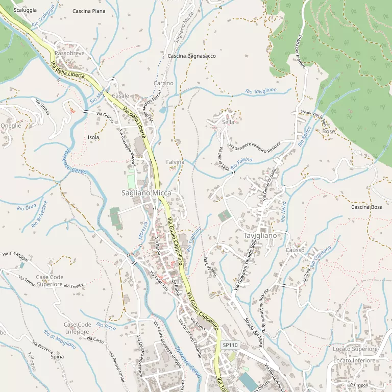 Mappa SAGLIANO MICCA
