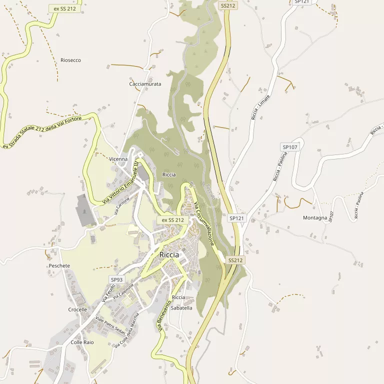 Mappa RICCIA