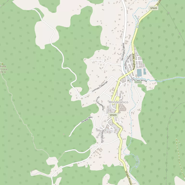 Mappa MONTELANICO